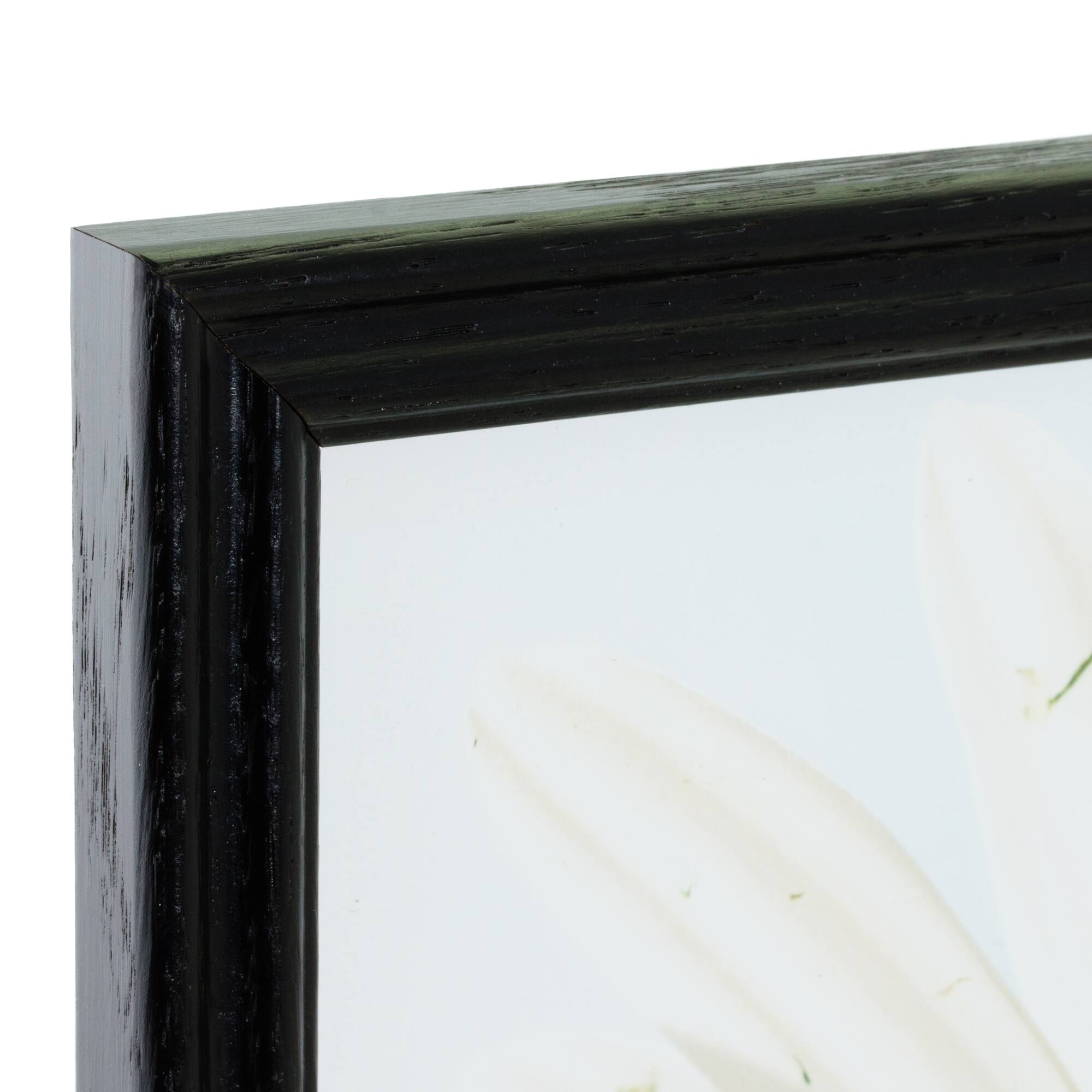 Craig Frames 4 Pack: Wiltshire 200 Ebony Picture Frame with Mat
